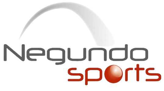 Logo negundo